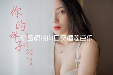 草莓樱桃向日葵榴莲芭乐